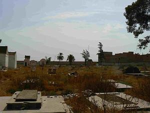 RELIZANE 2009 le cimetiere  (38)